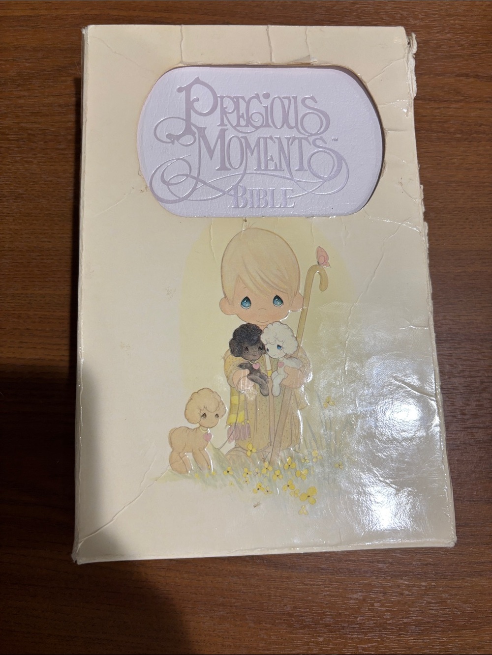 Precious Moments Illustrated Bible
